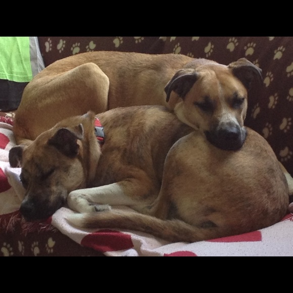 Meet your Posher, Diane - Picture 1 of 3